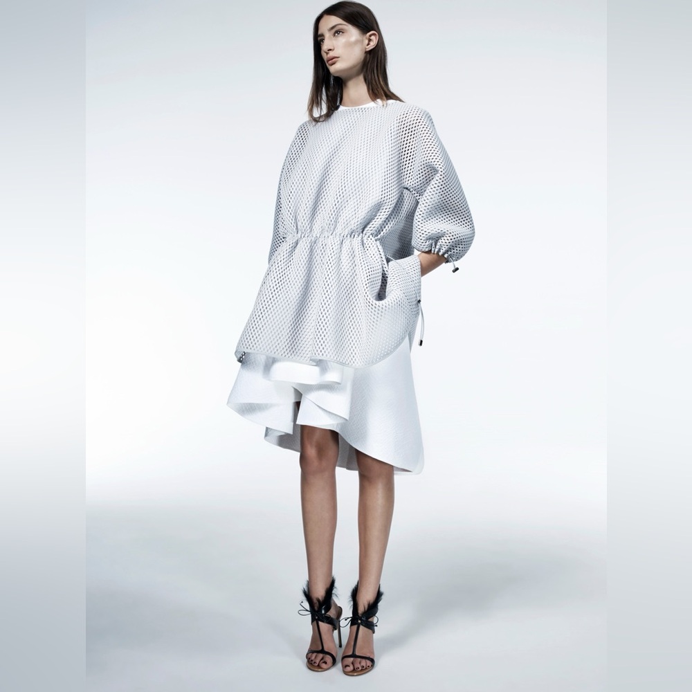Maticevski Oversized Pictorial Dress